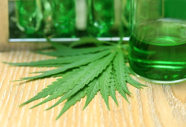 Folhas de cannabis em laboratório — Fotografia de Stock