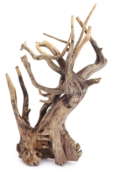 Perto de Driftwood — Fotografia de Stock
