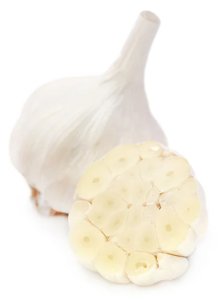 Close up of Fresh garlic — Stock Photo, Image