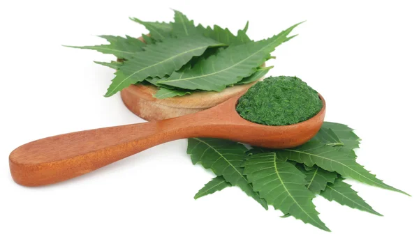 Foglie di neem medicinali con pasta macinata — Foto Stock