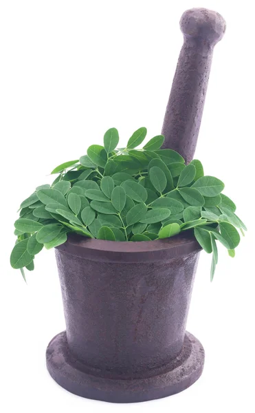 Yenilebilir moringa vintage bir havanda bırakır — Stok fotoğraf