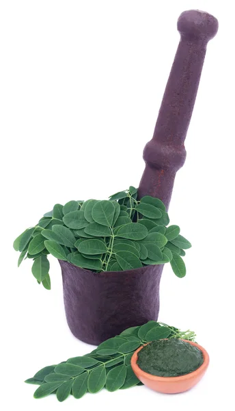 Ätbara moringa bladen i en vintage mortel med marken pasta — Stockfoto