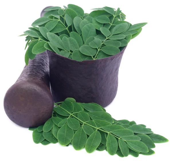 Ätbara moringa bladen i en vintage mortel — Stockfoto