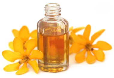 Gardenya coronata özü ile