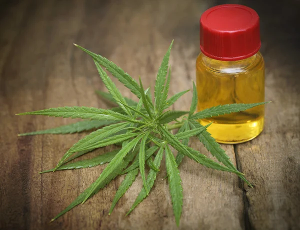 Folhas de cannabis medicinal com óleo — Fotografia de Stock