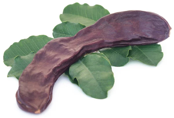 Ätbara carob frukter med gröna blad — Stockfoto