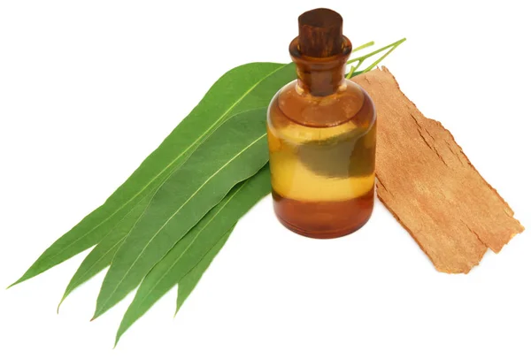 Aceite de eucalipto con hojas —  Fotos de Stock