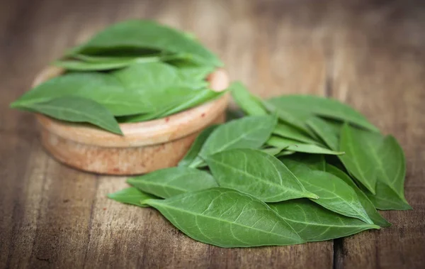 Foglie di henné ayurvedico — Foto Stock