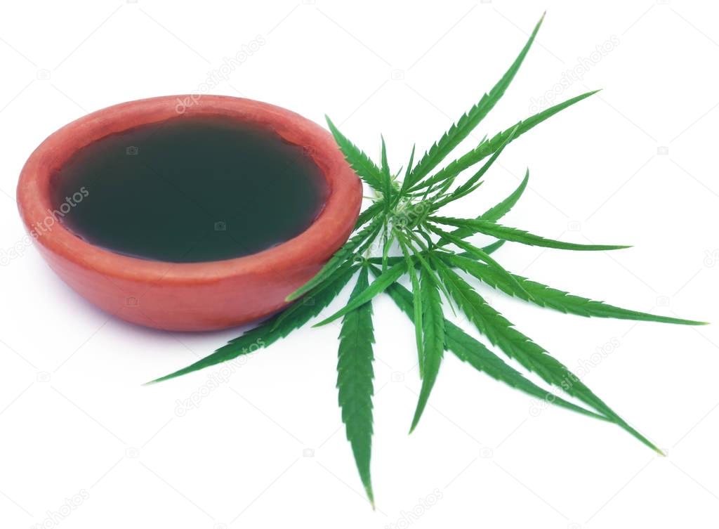 Medicinal cannabis leaves with extract