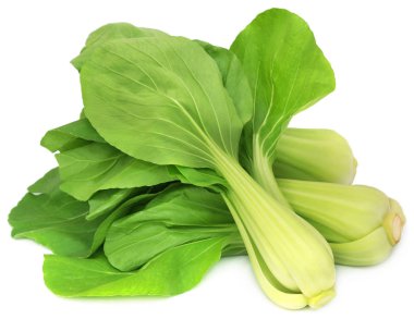 Organik Bok Choy