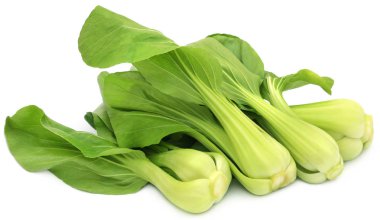 Organik Bok Choy