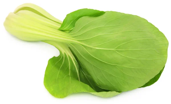 Szerves Bok Choy — Stock Fotó