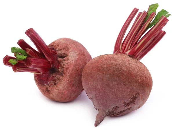 Two fresh Beets — Stock Photo, Image