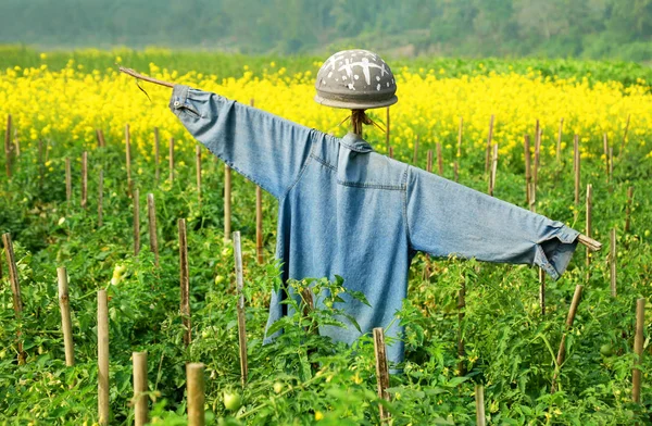 Detailní záběr strašák — Stock fotografie