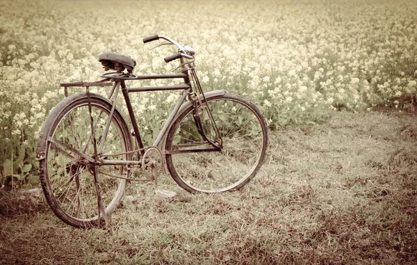 Oldtimer-Fahrrad neben einem ländlichen Senffeld — Stockfoto