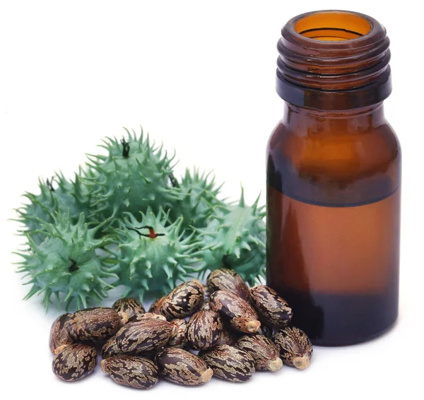 Castor oil with dry and green beans — Stock Photo, Image