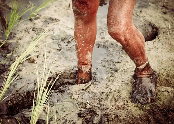 Jambes d'un vieil agriculteur bangladais — Photo