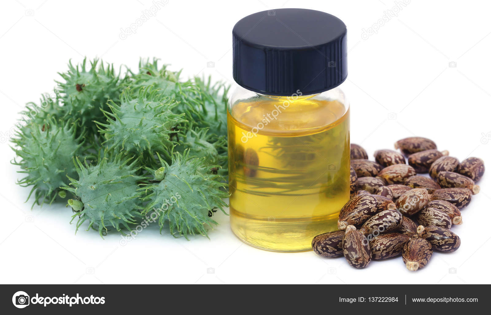 1 6 Castor Oil Stock Photos Images Download Castor Oil Pictures On Depositphotos 1 6 Castor Oil Stock Photos Images Download Castor Oil Pictures On Depositphotos