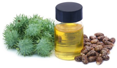 Castor oil with dry and green beans clipart