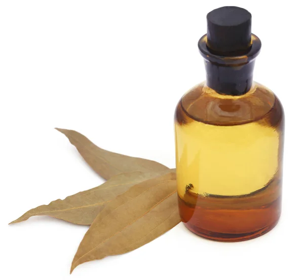 Liście laurowe z olejku — Zdjęcie stockowe