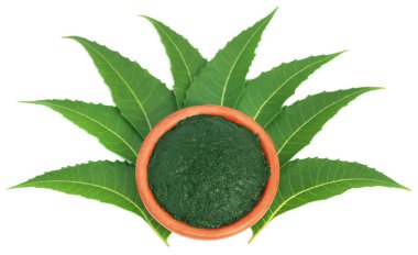 Yere yapıştır ile tıbbi neem yaprağı