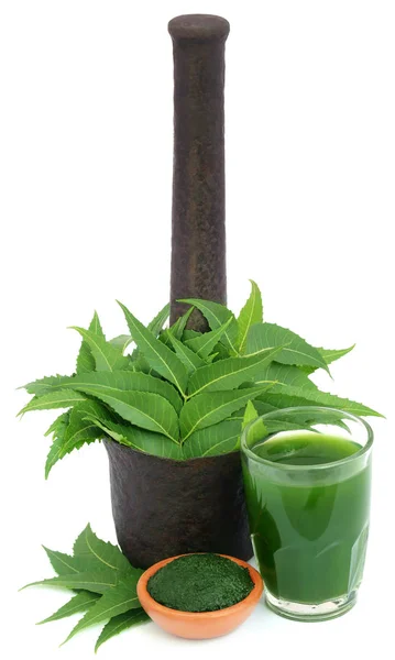 Hojas medicinales de neem con extracto y pasta molida — Foto de Stock