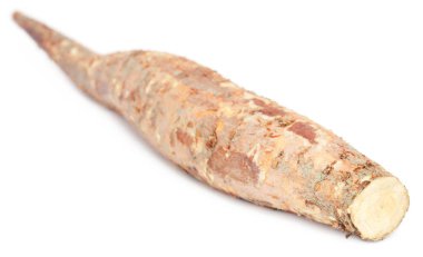 Ayurvedik tedavi olarak kullanılan kök Bomax ağaç