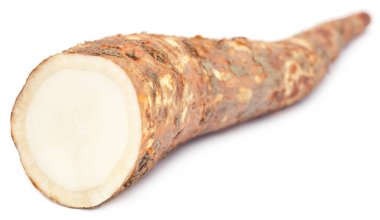 Ayurvedik tedavi olarak kullanılan kök Bomax ağaç