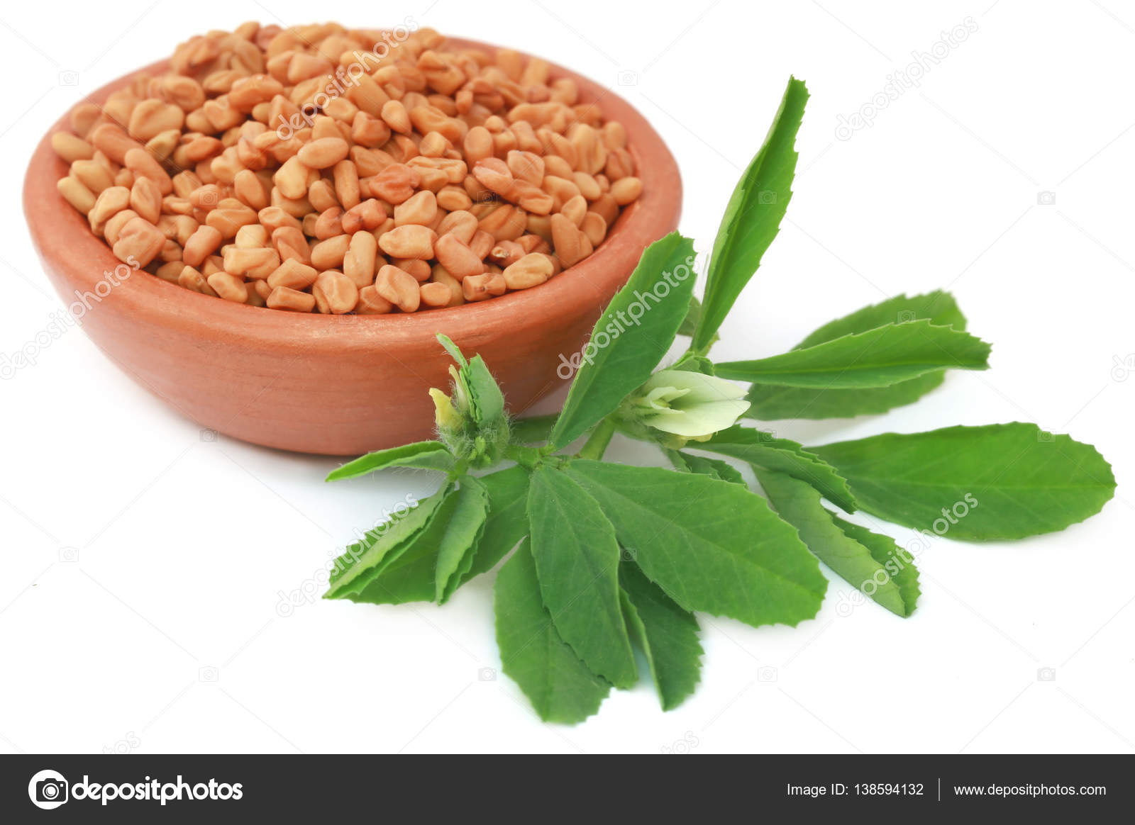 Fenugreek leaves with seeds Stock Photo by ©bdspn74 138594132