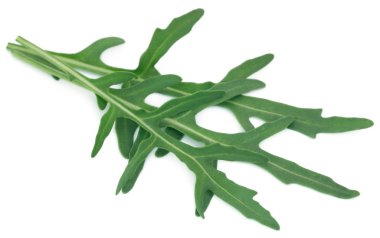 Taze roka veya rucola yaprakları