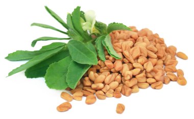Fenugreek leaves with seeds clipart
