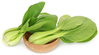 Organik Bok Choy