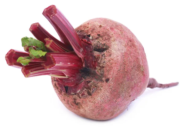 Close up of Fresh Beet — Stock Photo, Image