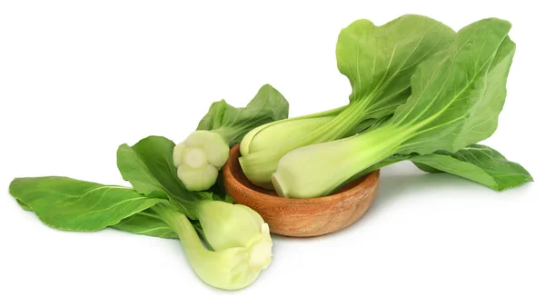 Organic Bok Choy — Stock Photo, Image