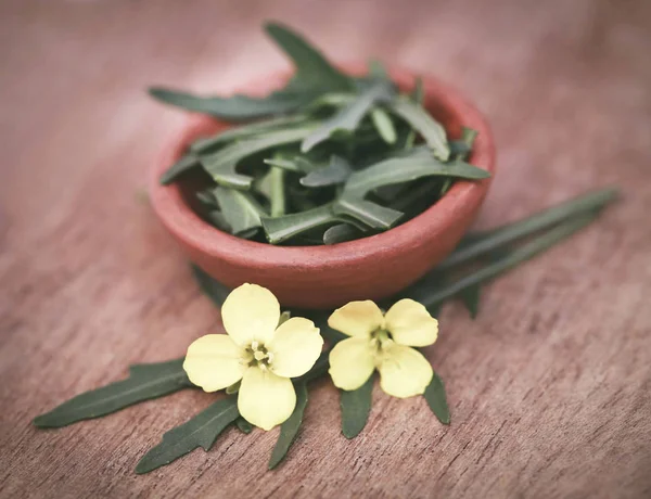 신선한 arugula 또는 rucola — 스톡 사진