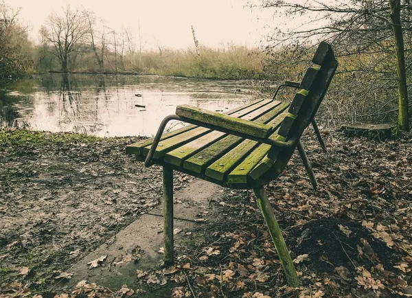 孤独な湿地帯の横にある古い木製のベンチ — ストック写真