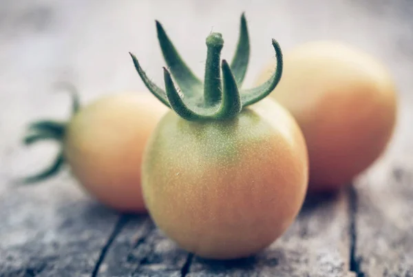 Frische Bio-Tomaten — Stockfoto