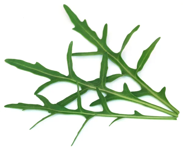 Fresh arugula or rucola leaves — Stock Photo, Image