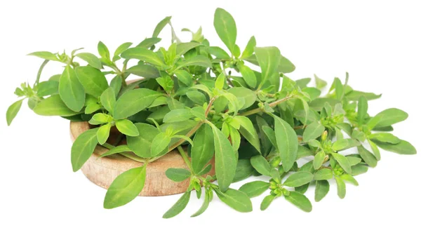 Thyme leaves in a wooden bowl — Stock Photo, Image