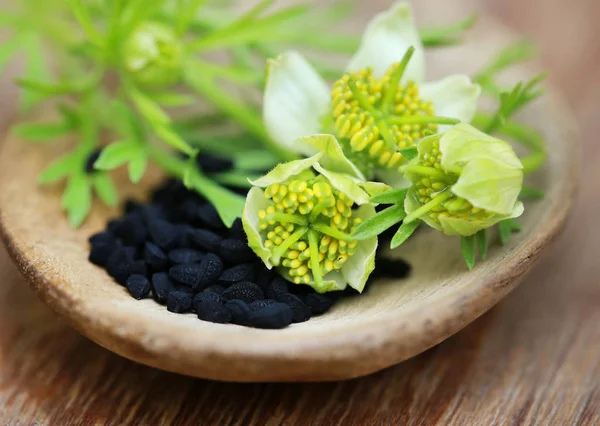 Nigella flor com sementes — Fotografia de Stock