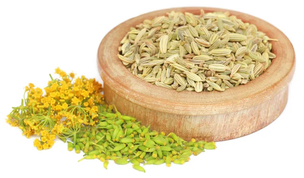 Close up of Fennel seeds — Stock Photo, Image