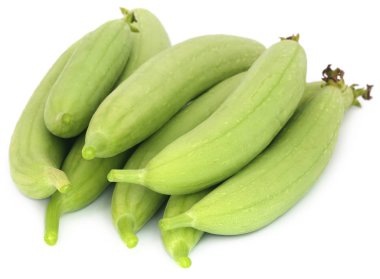 Taze ridge kabak lif kabağı aegyptiaca