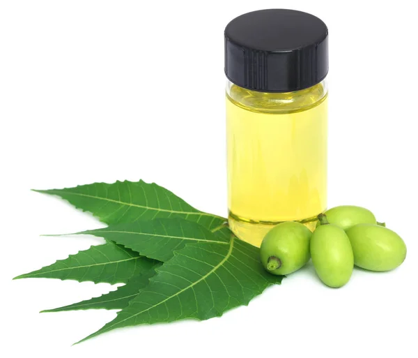 Hojas medicinales de neem y frutas con aceite esencial —  Fotos de Stock