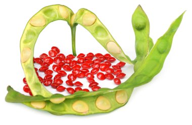 Kırmızı sandal ağacı tohumları