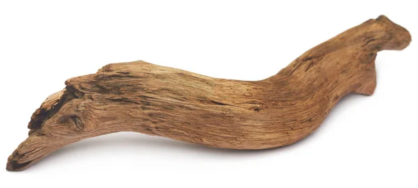 Fechar de Bogwood — Fotografia de Stock