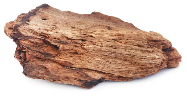 Closeup of Bogwood — Stock Photo, Image