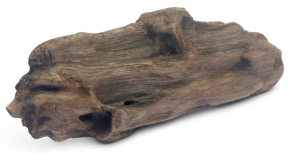 Zbliżenie z Bogwood — Zdjęcie stockowe