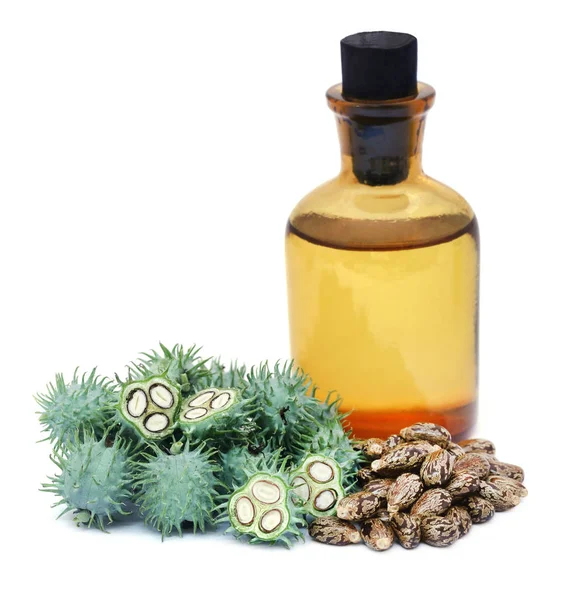 Castor oil with green beans — Stock Photo, Image