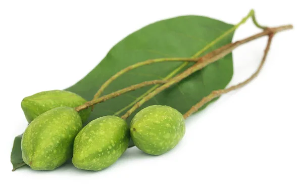 Čerstvé zelené léčivé haritaki ovoce — Stock fotografie