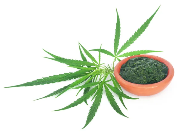 Folhas verdes e purê de cannabis medicinal — Fotografia de Stock